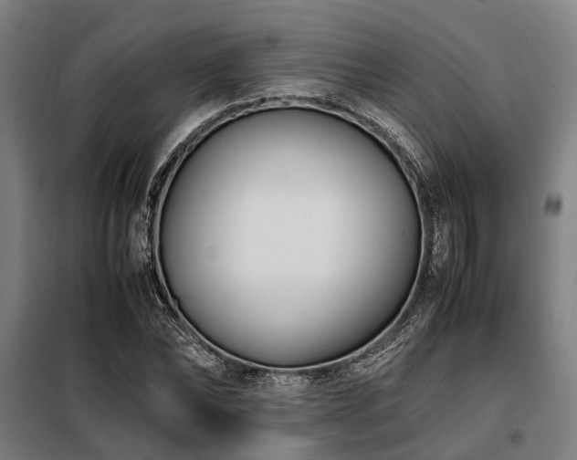 X0000098080878200804041146