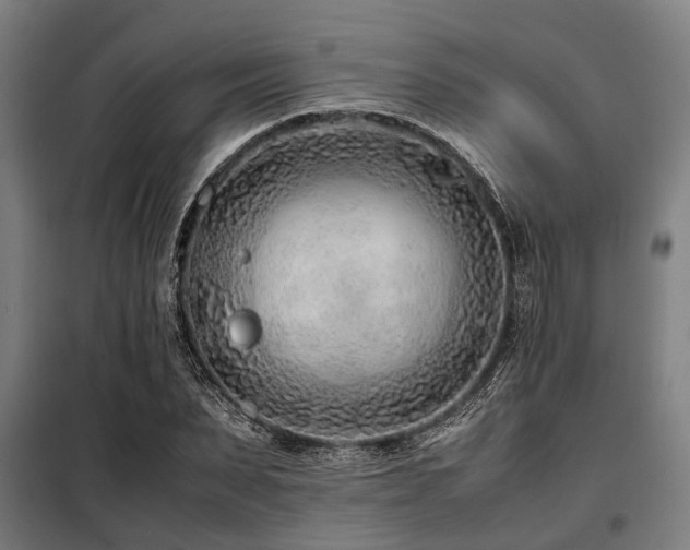 X0000098080879200804041146