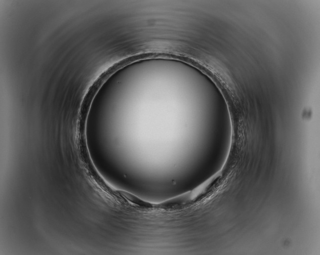 X0000098080880200804041146