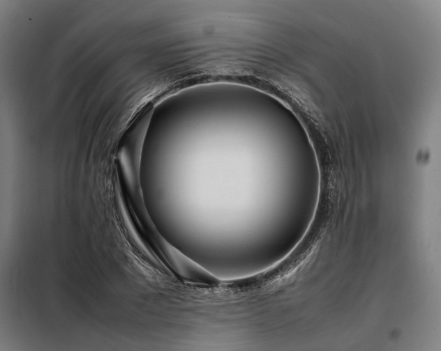 X0000098080881200804041146