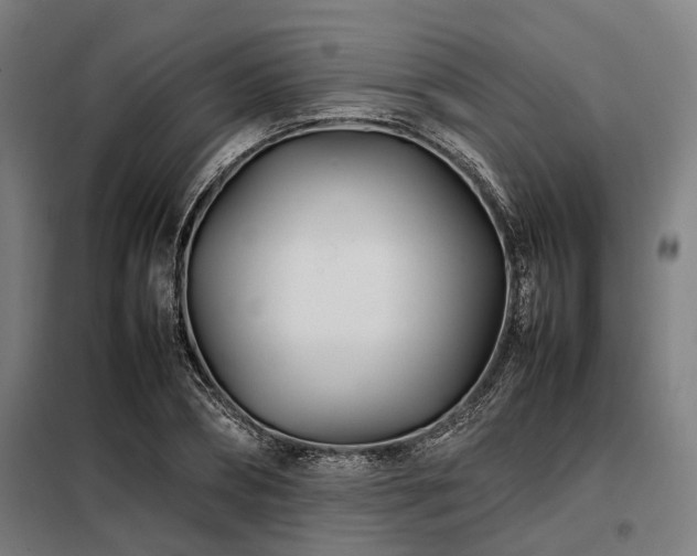 X0000098080882200804041146