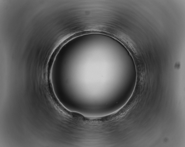 X0000098080884200804041146