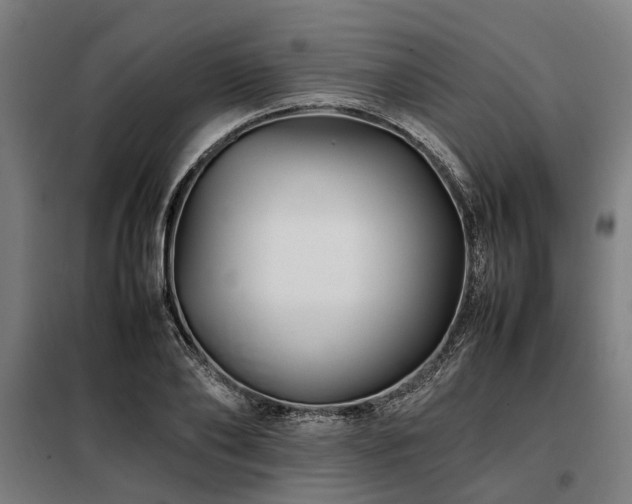 X0000098080886200804041146