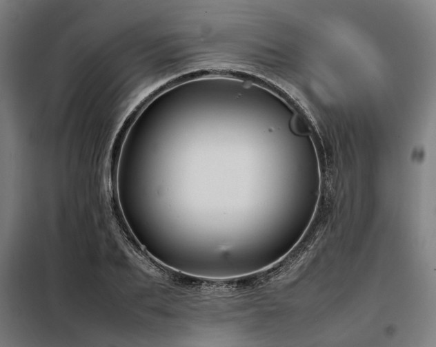 X0000098080887200804041146