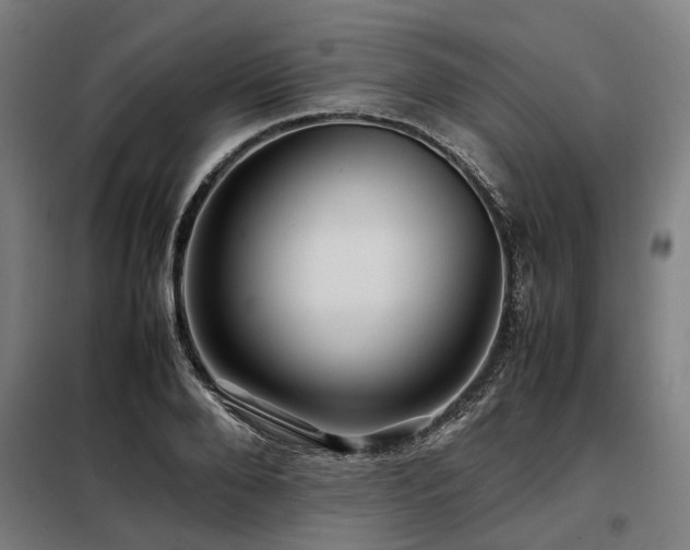 X0000098080888200804041146