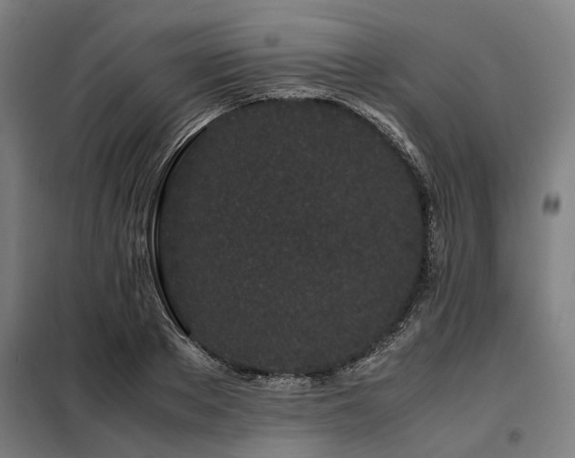 X0000098080889200804041146