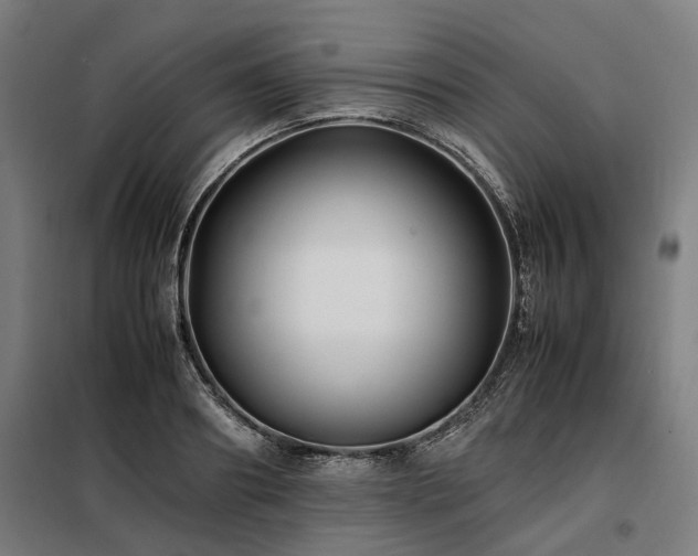 X0000098080890200804041146