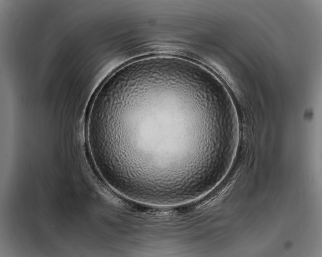 X0000098080891200804041146