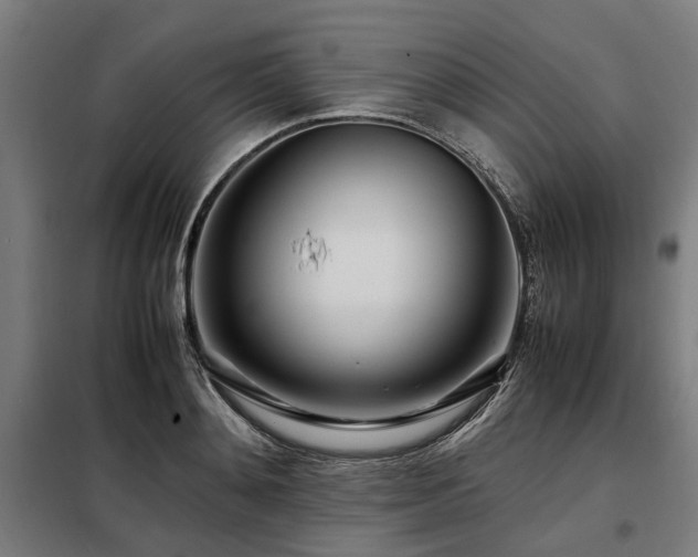 X0000098080892200804041146