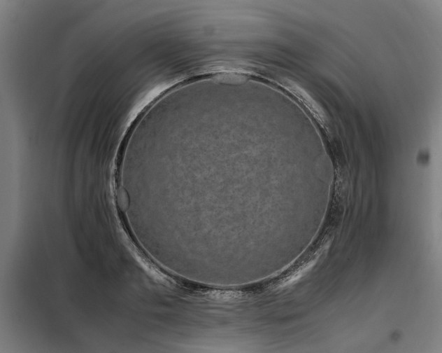 X0000098080893200804041146