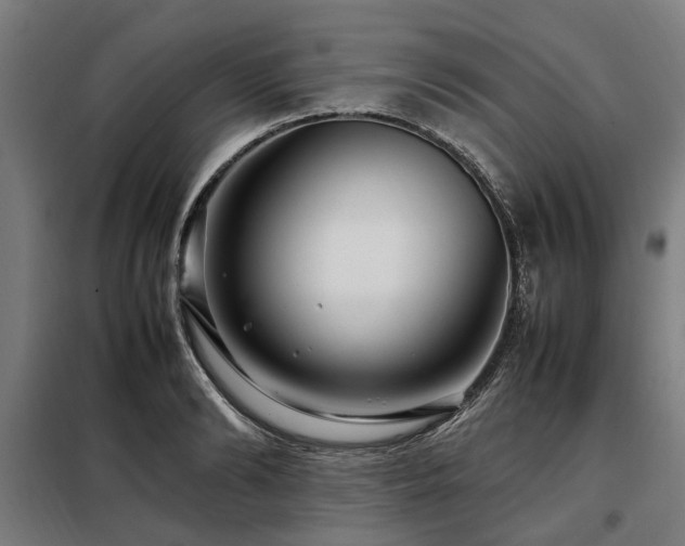 X0000098080894200804041146