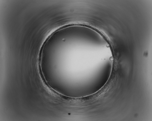 X0000098080895200804041146