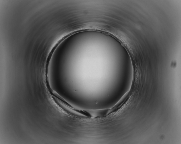 X0000098080896200804041146