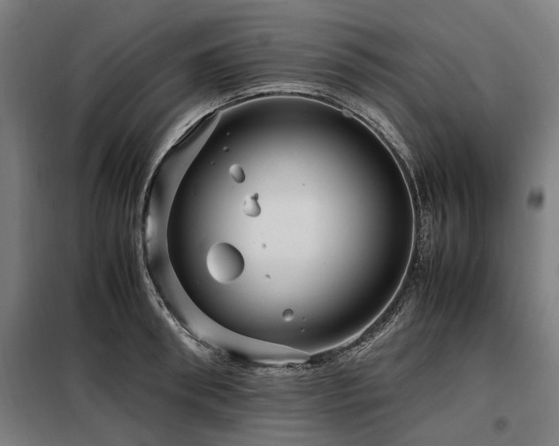 X0000098080898200804041146
