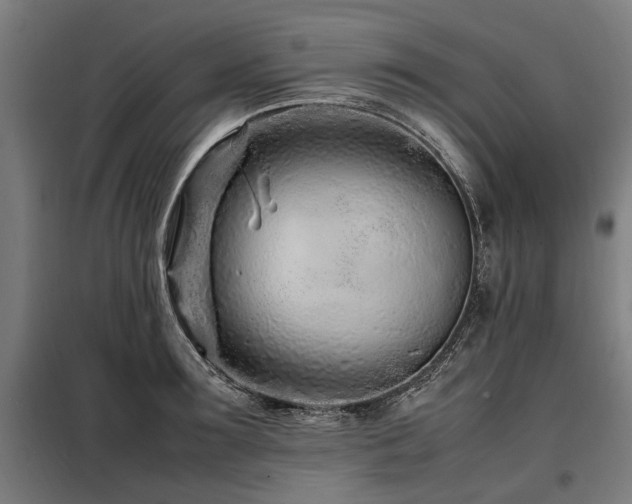 X0000098080899200804041146