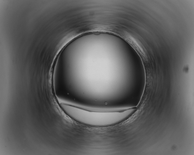 X0000098080900200804041146