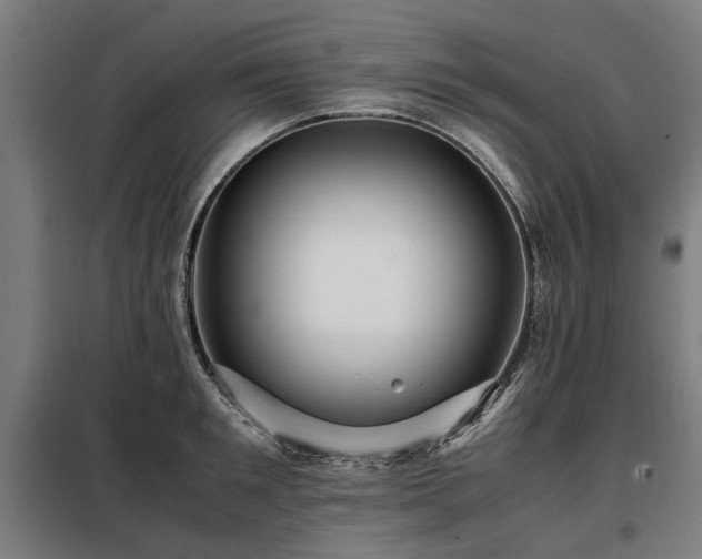 X0000098080901200804041146