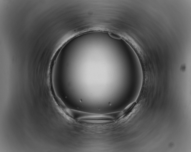 X0000098080902200804041146