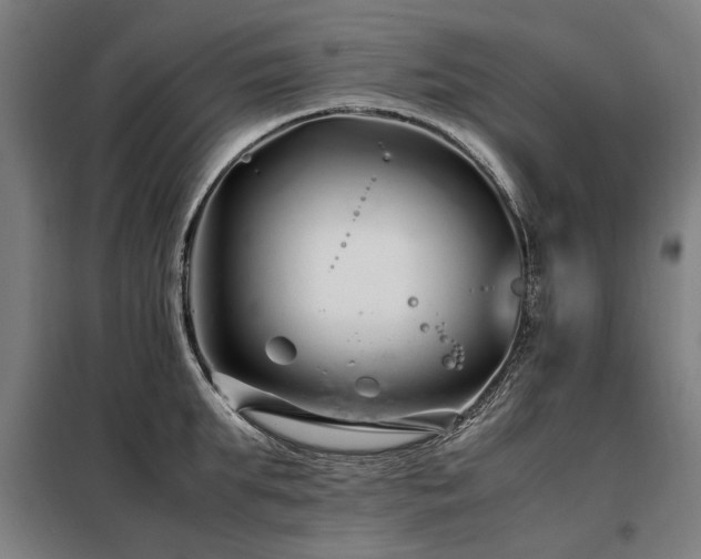 X0000098080903200804041146