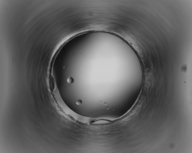 X0000098080904200804041146