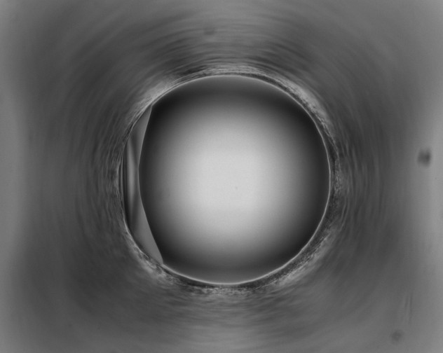 X0000098080905200804041146