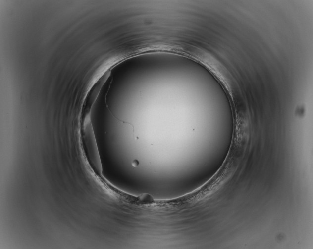 X0000098080906200804041146