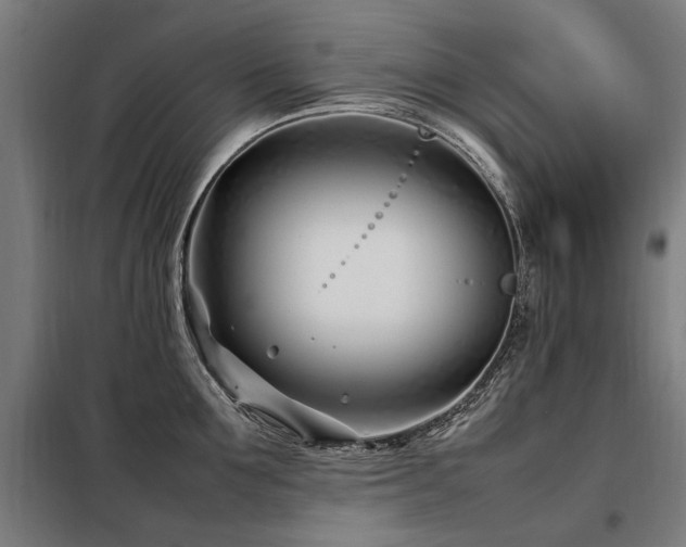 X0000098080907200804041146
