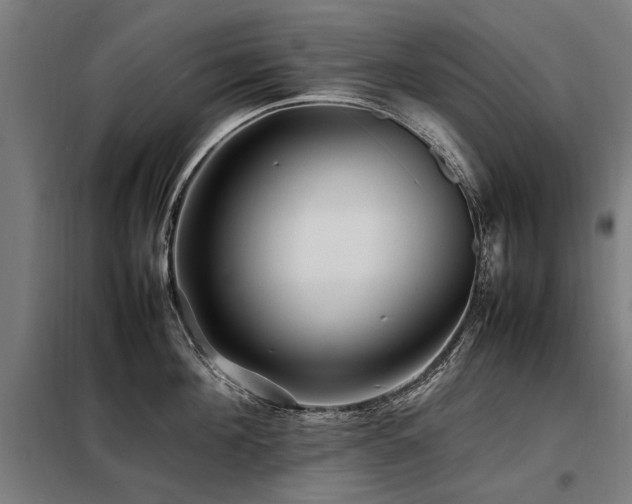 X0000098080908200804041146