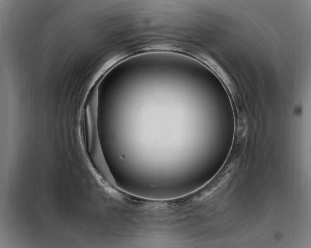 X0000098080909200804041146