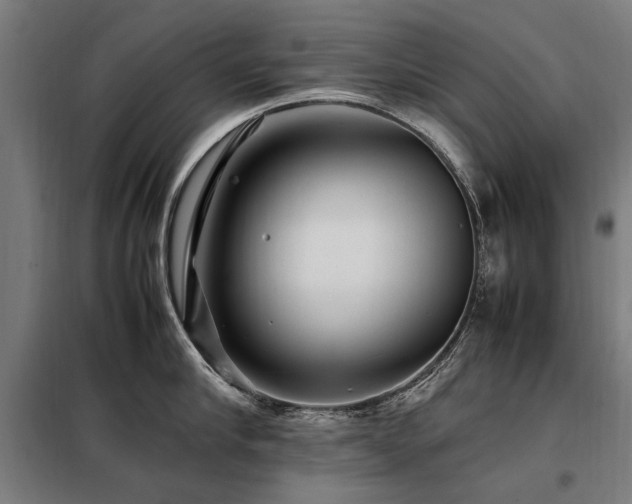 X0000098080910200804041146