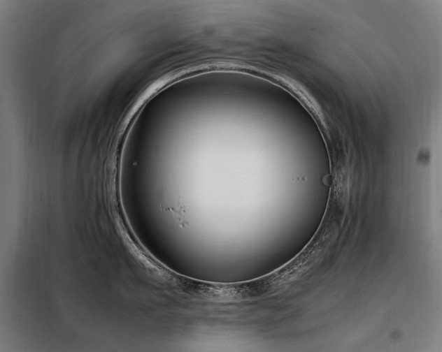 X0000098080911200804041146