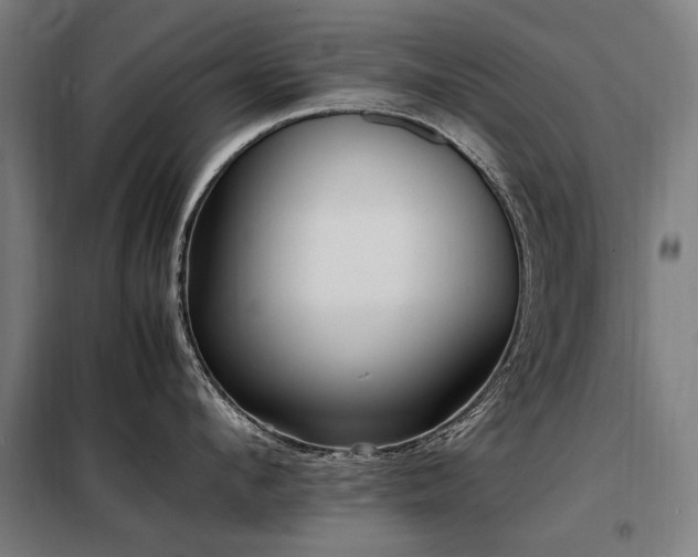 X0000098080912200804041146