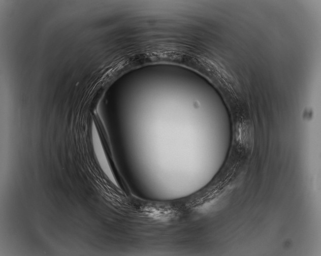 X0000098080915200804041145