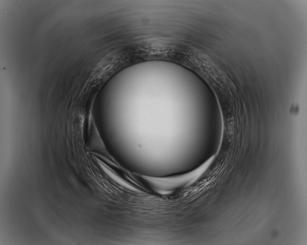 X0000098080916200804041145