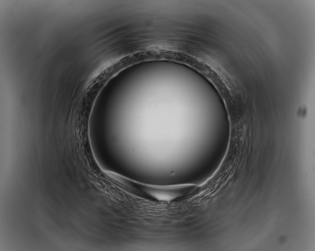 X0000098080919200804041145
