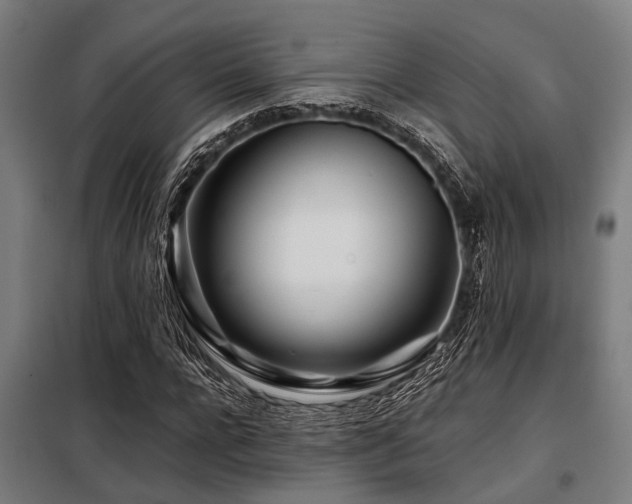 X0000098080920200804041145