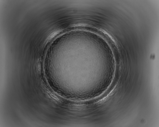X0000098080921200804041145