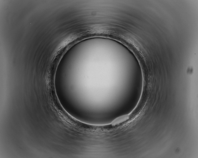 X0000098080922200804041145