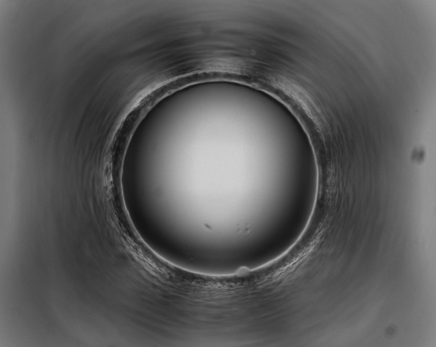 X0000098080923200804041145