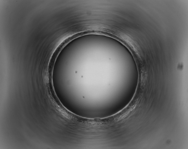 X0000098080924200804041145