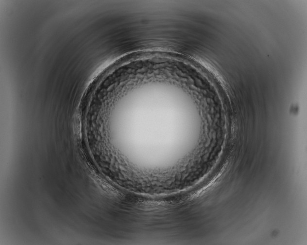 X0000098080925200804041145