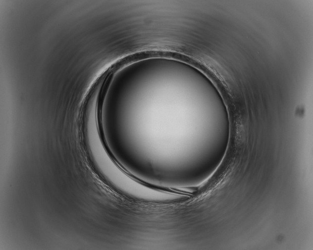 X0000098080926200804041145
