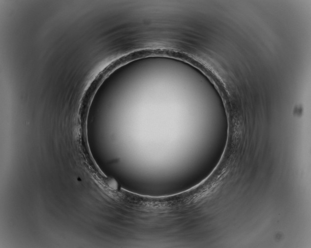 X0000098080927200804041145