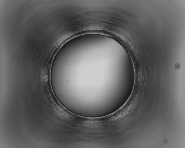 X0000098080929200804041145