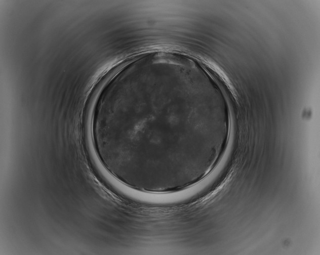 X0000098080930200804041145