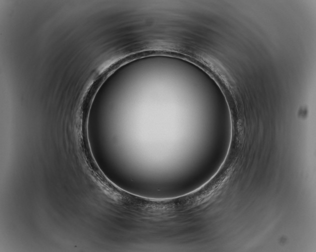 X0000098080931200804041145