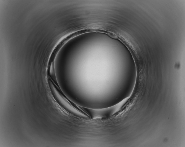 X0000098080932200804041145