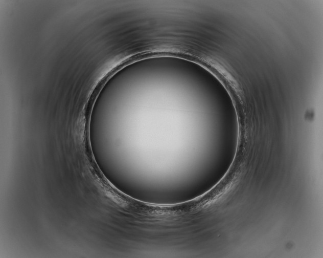 X0000098080933200804041145
