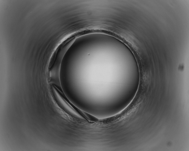 X0000098080934200804041145