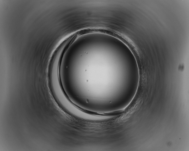 X0000098080935200804041145